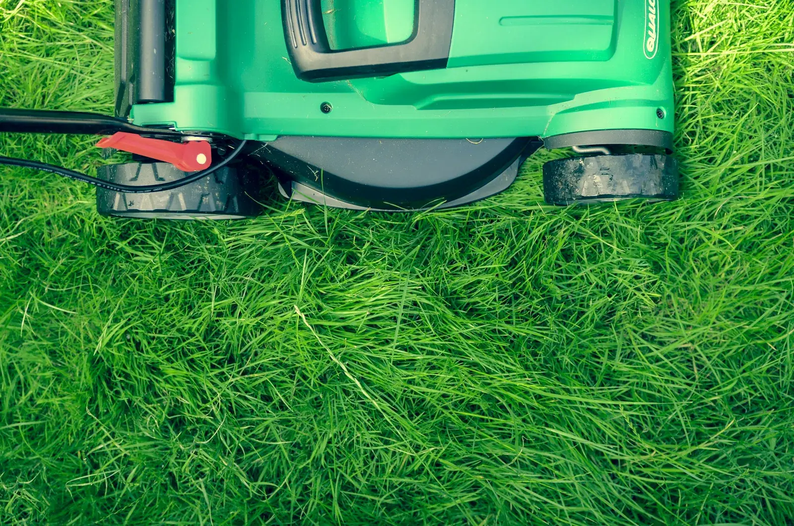 Overhead view of a green corded electric mower beside freshly cut grass